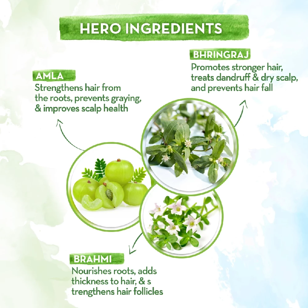 BhringAmla Shampoo with Bhringraj and Amla for Intense Hair Treatment, 250 ml-4.webp